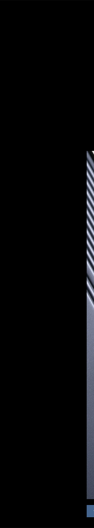 li_01
